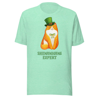 St Patrick's Day Shenanigans Funny Cat Unisex t-shirt